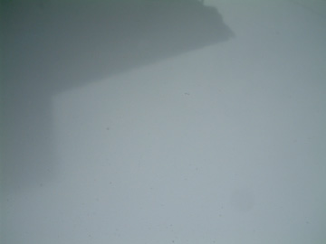 洗車して水分を拭き取る