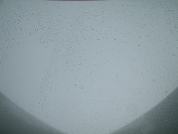 カーシャンプーで洗車する