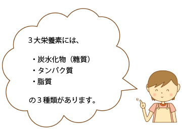 3大栄養素