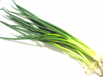 葉ネギ