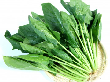 ホウレンソウ