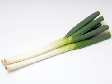 根深ネギ