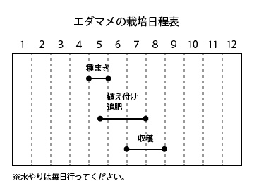 エダマメの栽培日程表