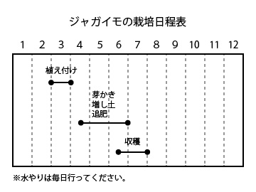 ジャガイモの栽培日程表