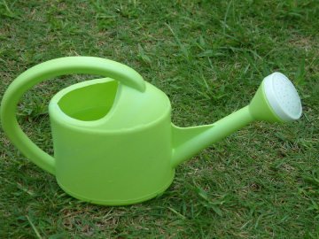 ジョウロで水やり