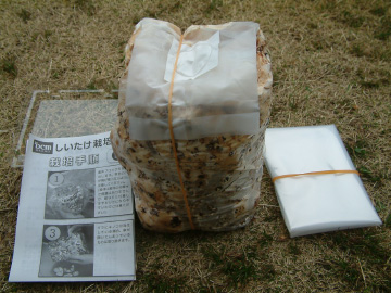 菌床ブロックのシイタケ栽培セット