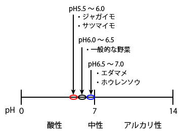 野菜栽培の土壌pH値の適正値