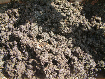 使い古した培養土