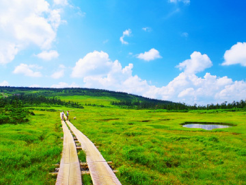 山歩きの遊歩道