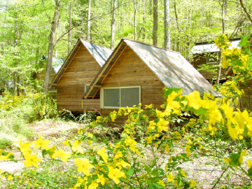 キャンプ場のバンガロー